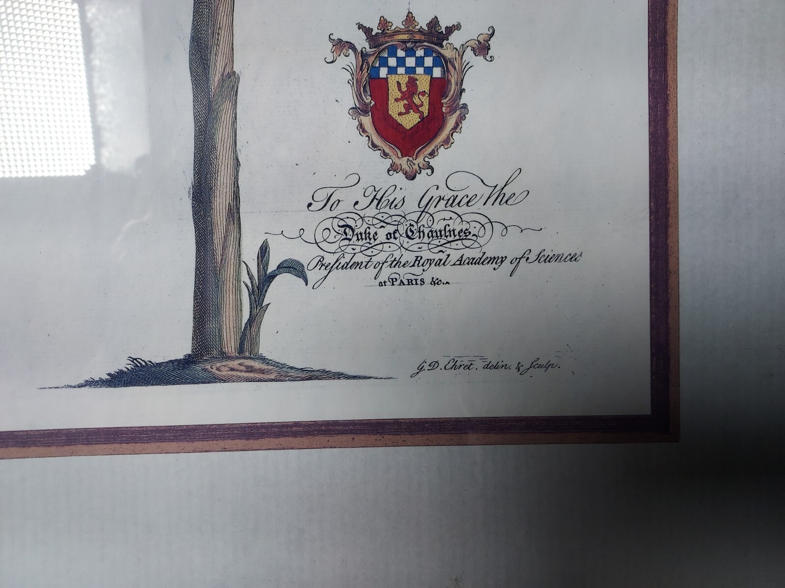 Picture 3 of 8