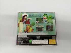 Neverland Company Sega Saturn Soft Xenophile Active Dragon Wars Chaos Seed Used