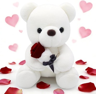 Valentines Plush, Valentine Gifts for Her 9 inch White Teddy Bears Plush with Ro