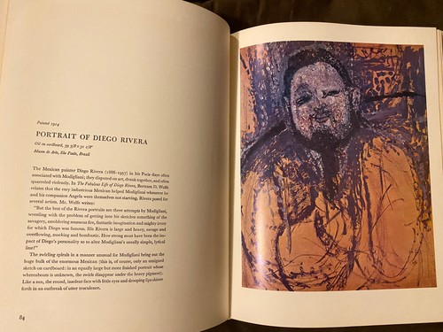 MODIGLIANI by Alfred Werner - 1968 1st Edition HC/DJ - BEAUTIFUL COPY - Picture 16 of 24