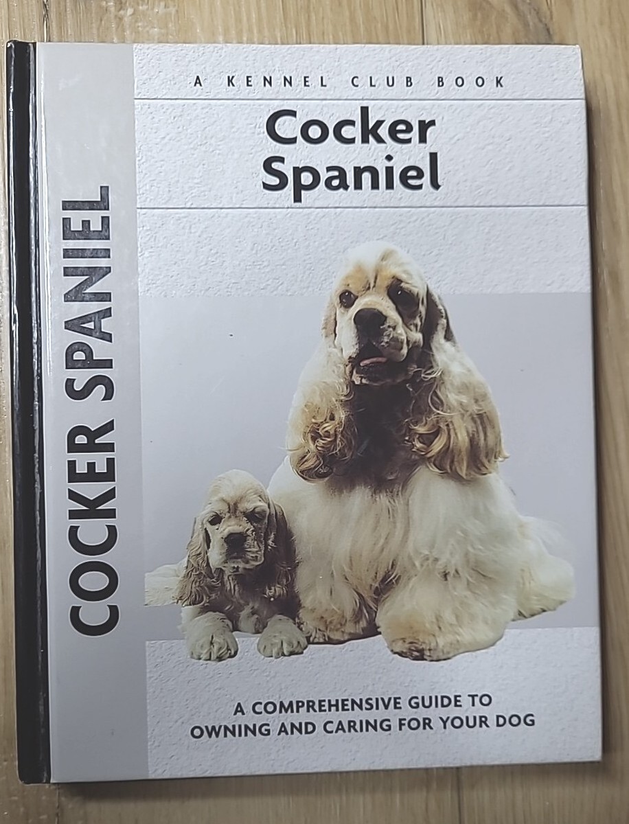 English Cocker Spaniel Hunting Spaniel Working Tests 2019 Cocker