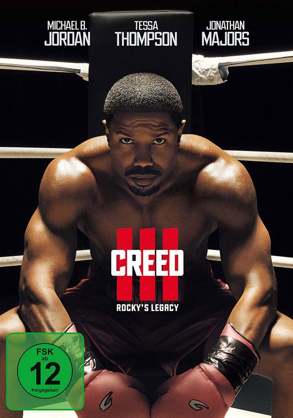 Creed 3: Rocky's Legacy [DVD] - Bild 2