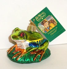 RED-EYED TREE FROG - OLD WORLD CHRISTMAS BLOWN GLASS ORNAMENT NEW W/TAG 12632