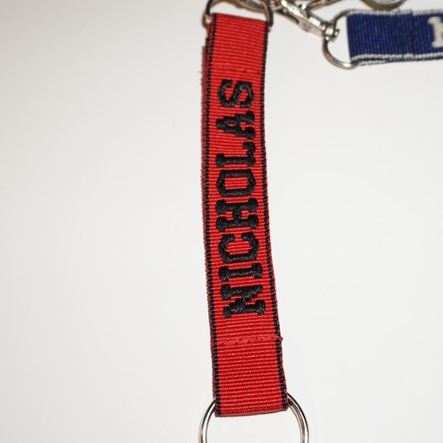 Key Chain Embroidered Lanyard Ring Clasp Choose Name or Fun Phrase 6" Colorful - 第 124/205 張圖片
