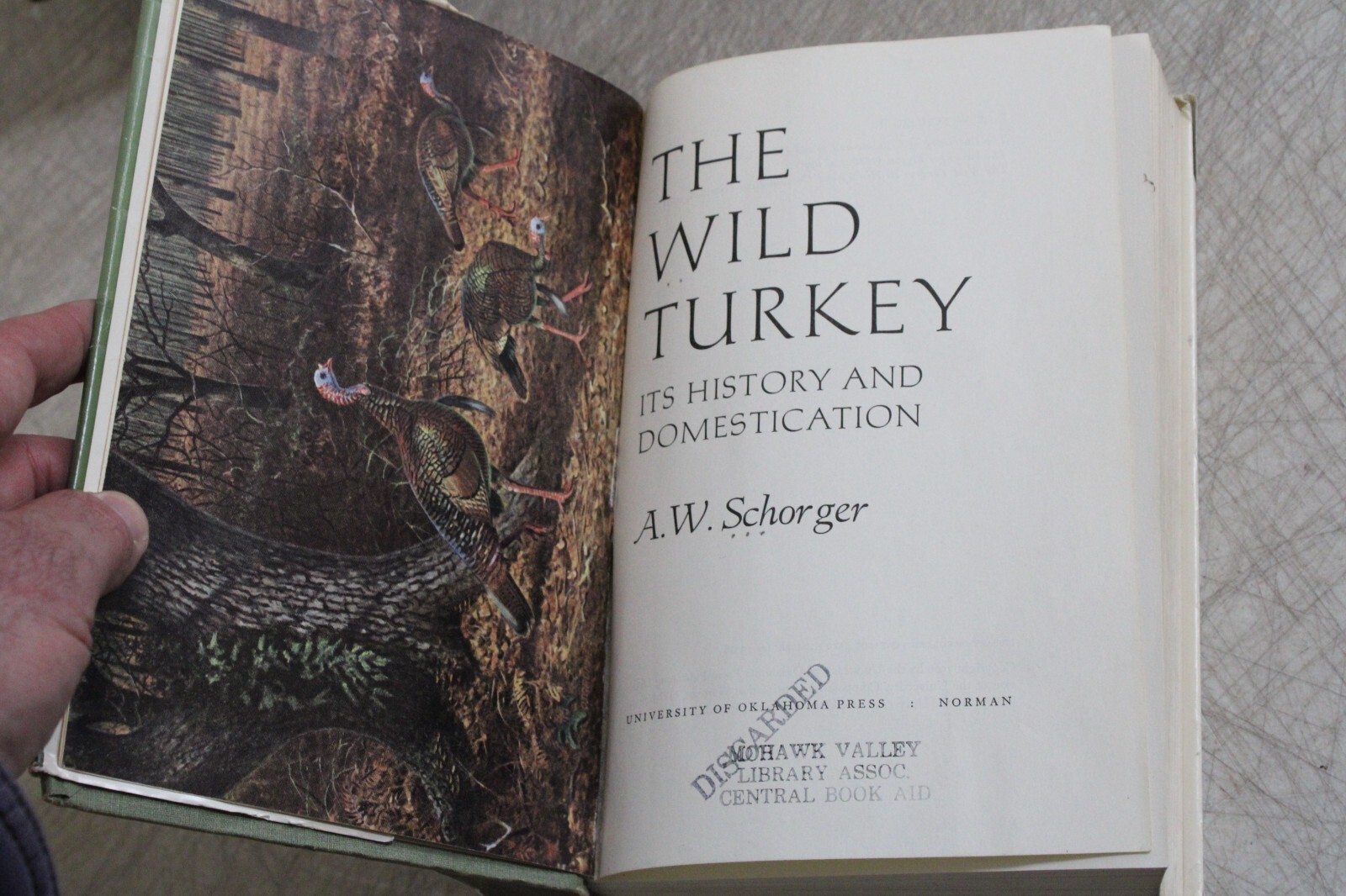 THE WILD TURKEY ITS HISTORY AND DOMESTICATION By A W Schorger - Hardcover