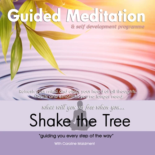 GUIDED MEDITATION SHAKE THE TREE CD - CAROLINE MAIDMENT