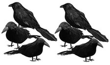 6 Pack Halloween Black Feathered Crows, Halloween Decorations Realistic Bird