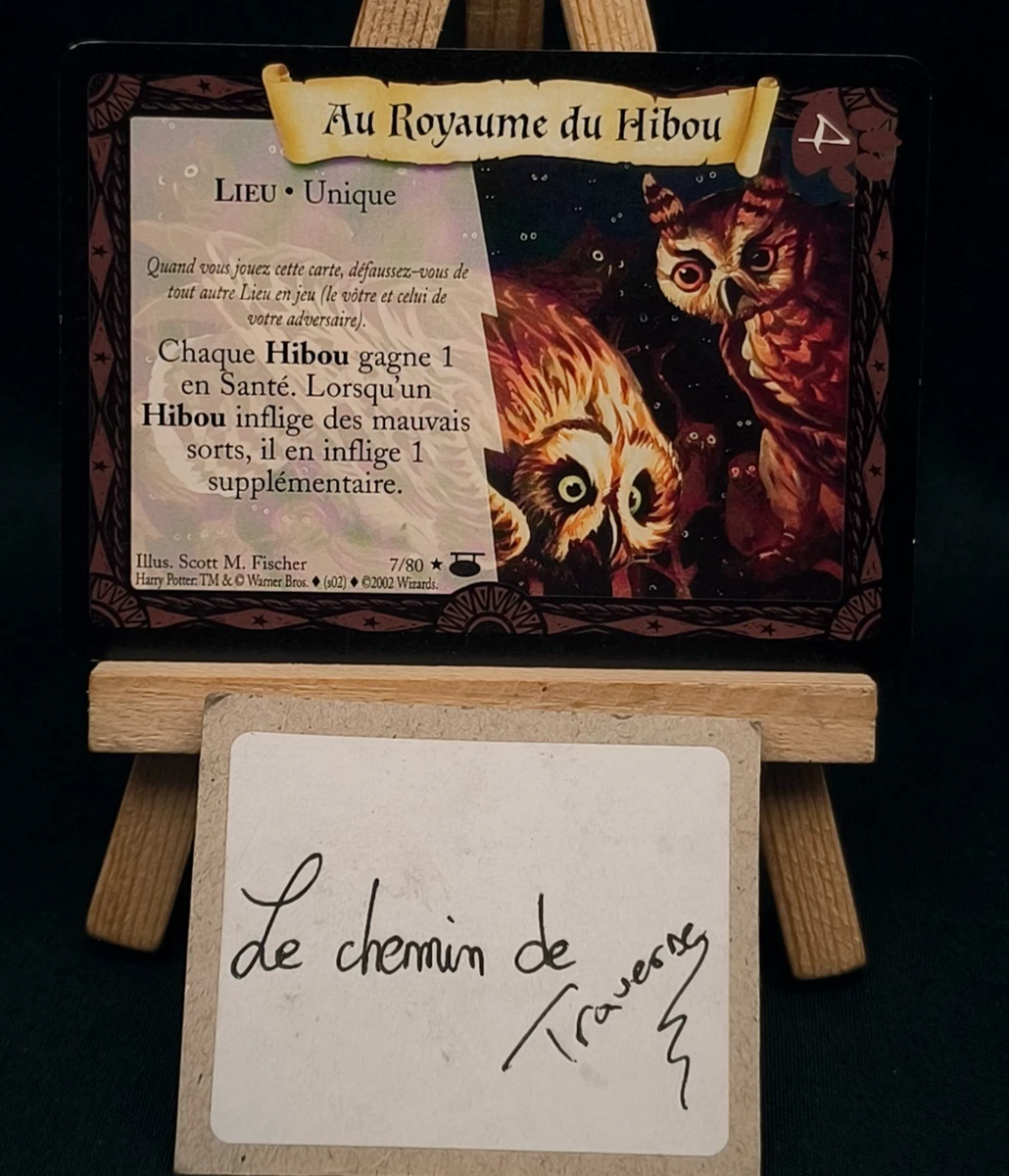 Deck De Cartes Harry Potter – Jeu De Découverte – Occasion