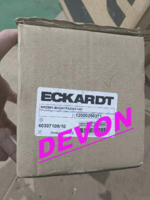 ONE SRD991-BHQS7FAANY-V01 ECKARDT positioner