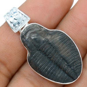 Trilobite-925-Sterling-Silver-Pendant-Jewelry-AP68555