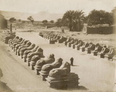 Sphinx at Karnak 'Sphinx du Karnak No 1134' Egypt in 1880 OLD PHOTO