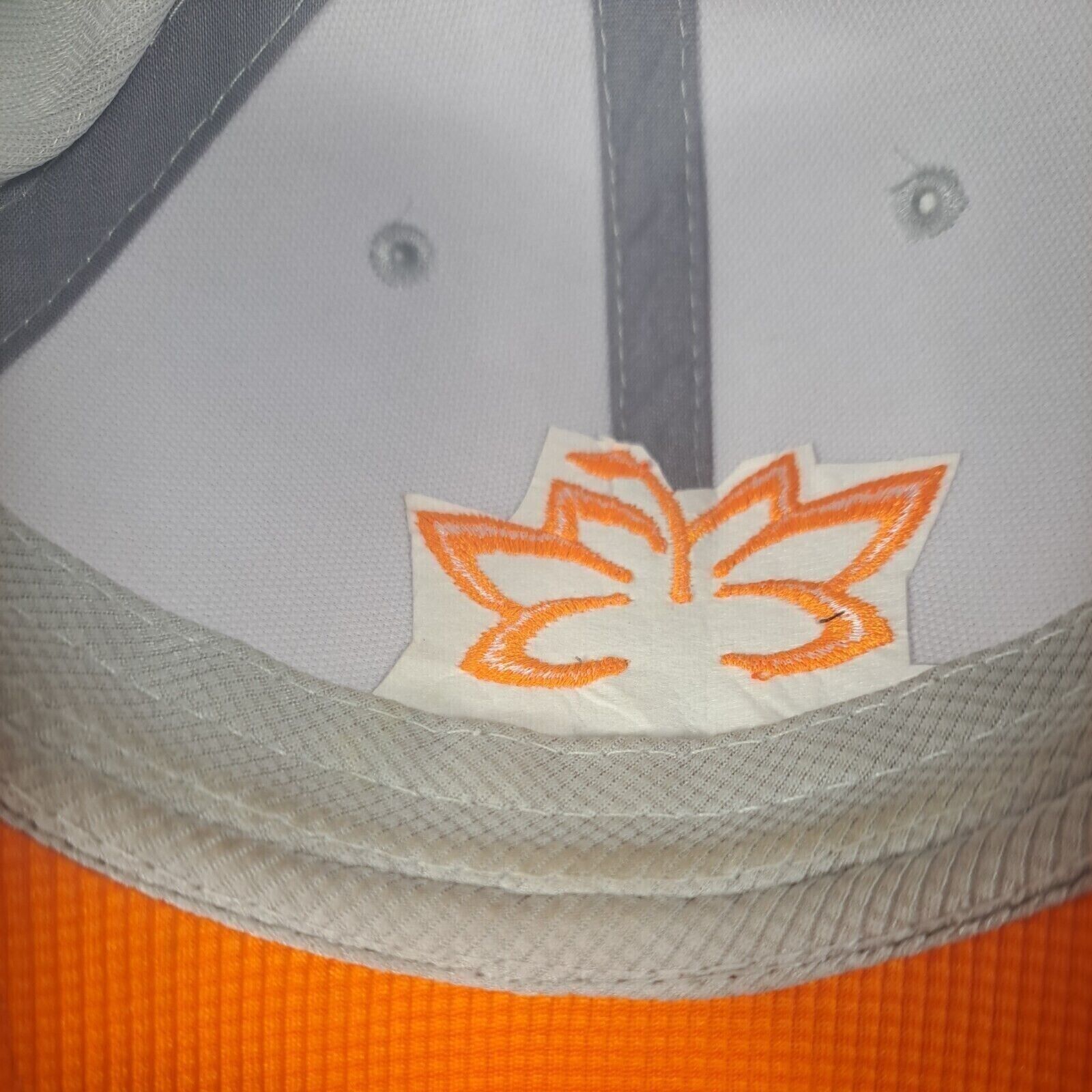 Picture 6 of 8