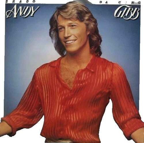 Vinyl Records Andy Gibb