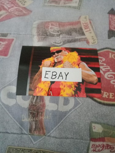 Hulk Hogan, beliebtester Wrestler aller Zeiten, 4x6 Zoll Hochglanzfoto