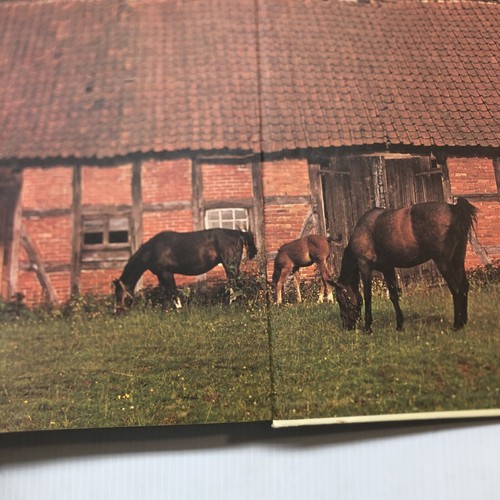 VINTAGE 1977 ENCYCLOPEDIA HARD COVER OF THE HORSE COLOR PICTURES SHOW WORKING - Picture 13 of 15