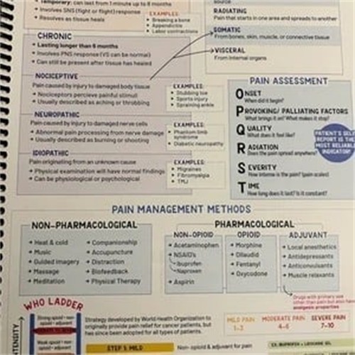 School Notes Your Potential: 5 Step Study Method To Exam Scores And The NCLEX! l - Picture 16 of 16