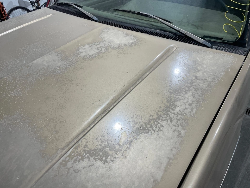 1992 - 1999 Chevy Suburban 1500 Autumnwood Metallic-55U Hood Panel Foto 4 de 4