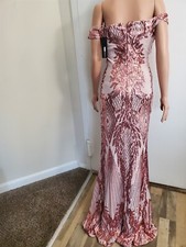 Fashion Nova Rose Dress