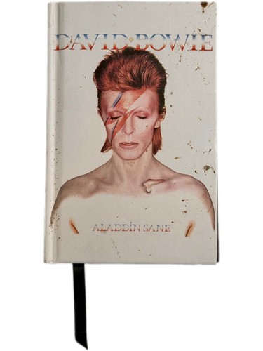 DAVID BOWIE CD Lot of 2 CHANGES w/ Aladdin Sane Hardcover Pocket Journal Ryko - Picture 10 of 12