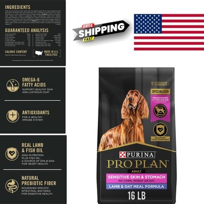 Oat Meal Dog Food for Sensitive Skin 16 lb Lamb High Quality Ingredients