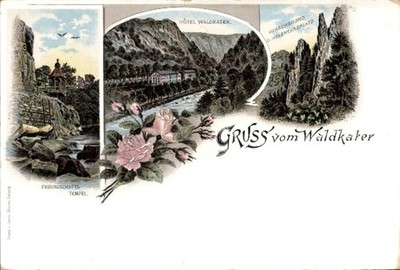 Litho Thale in the Harz Mountains, greeting from the forest cat, friendship stamp,... - 5018301