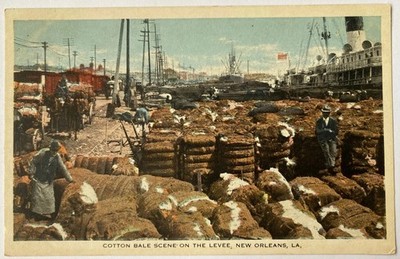 Cotton Bale Scene on the Levee New Orleans, Louisiana Postcard
