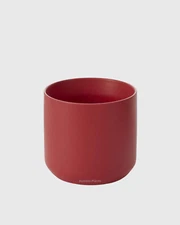 Red Kendall Pot - Live Plant Easy Care, Low Maintenance for Home Decor