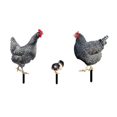 3 Pcs Rooster Hen Chicken Lawn Stakes Yard Art Decorative Stake Outdoor Decor