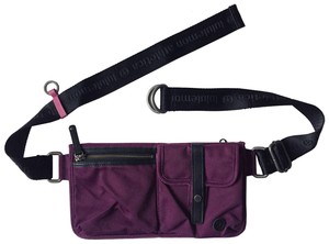 dog walk fanny pack