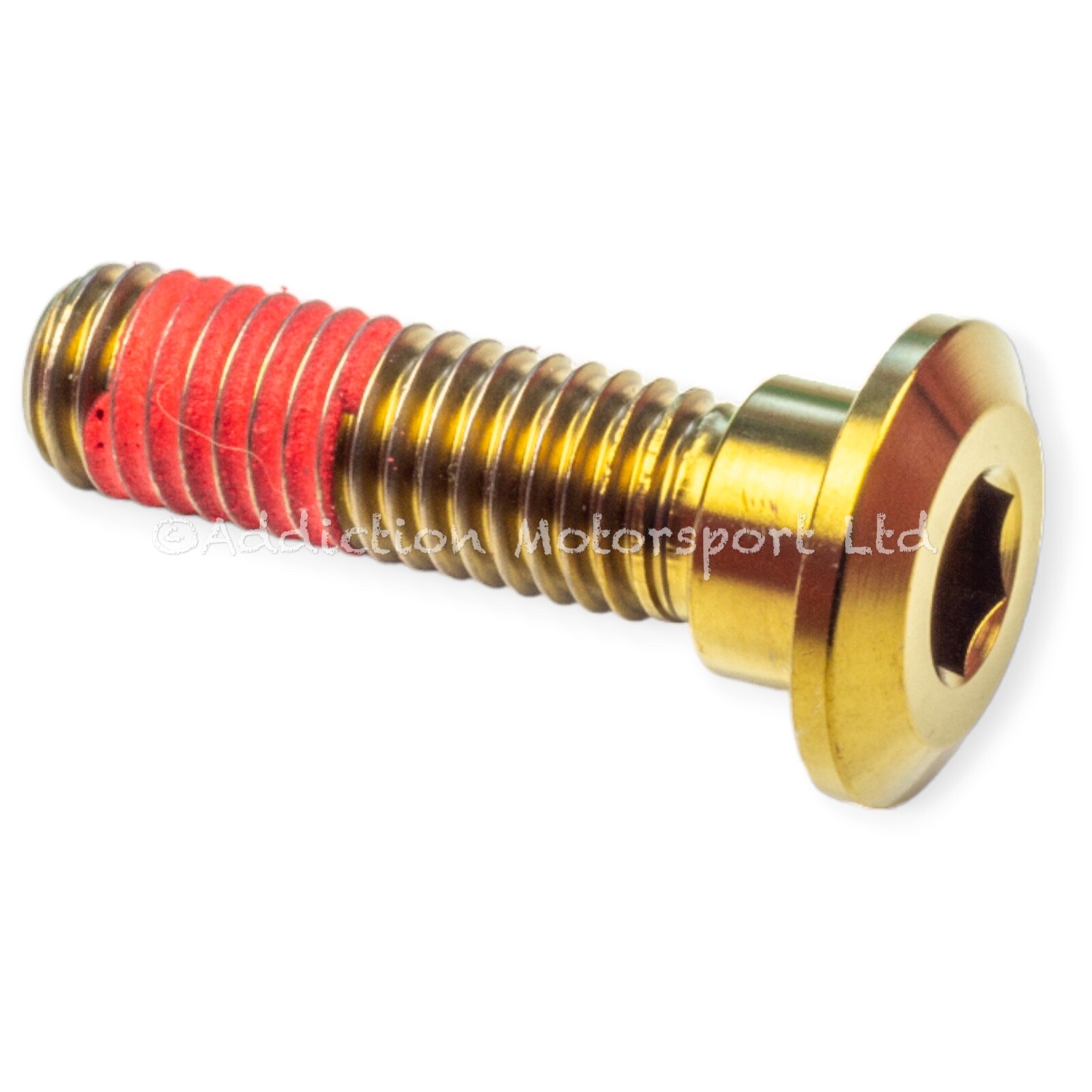 10x Kawasaki Ninja ZX7R 96-03 Gold Titanium Front Disc Rotor Bolts