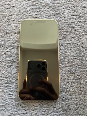 Apple iphone 13 pro max unlocked 256GB graphite