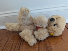 Steiff Hektor Golden Retriever Dog 080845 27 Cm Button Flag Chest Tag Germany