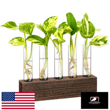 KAXYEW Desktop Glass Plant Propagation Station with 5 Test Tubes  Wood Stand