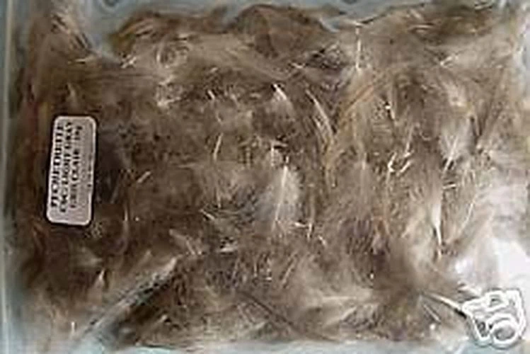 PECHETRUITE 10g Plumes de Cul de Canard (CDC) couleurs au choix feather montage mouche