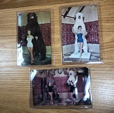 3 lot POST CARDS Blue Mountain HOTEL Polar Bear GIANT KODIAK Shuey PHOTOGRAPH