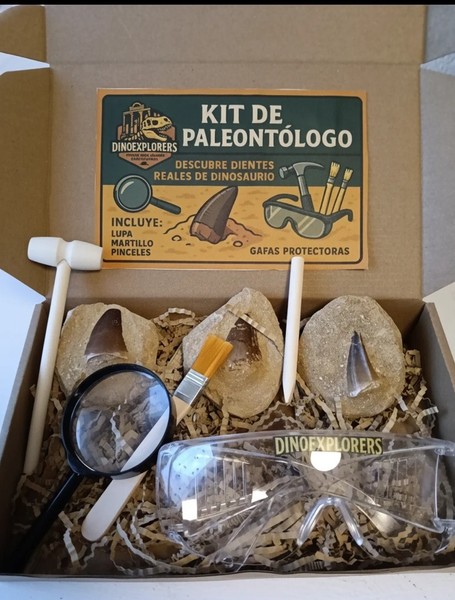 Kit Paleontólogo Regalo Dientes Fósiles Mosasaurio