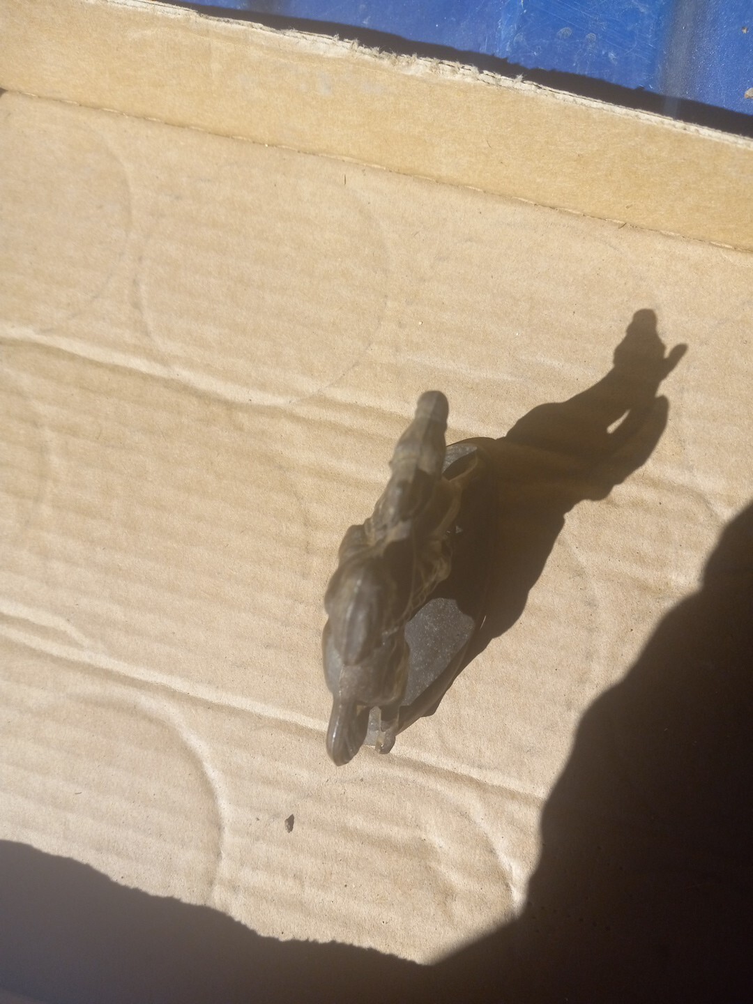 Picture 5 of 6