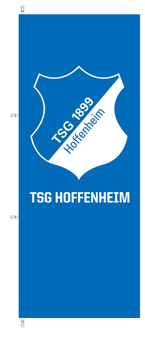 FAHNE FLAGGE SACHSEN - 90 x 150 cm EUR 6,39 - DE