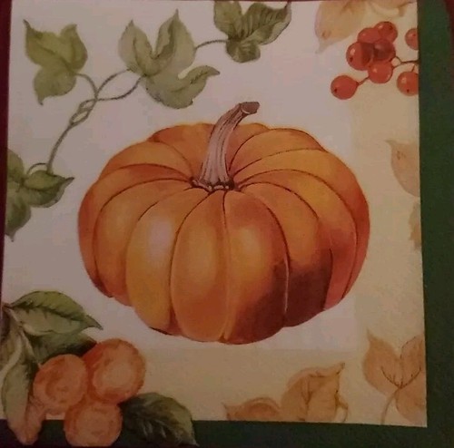 Thanksgiving Napkins - Cocktail-sized. Most In Wrapper - Picture 6 of 9