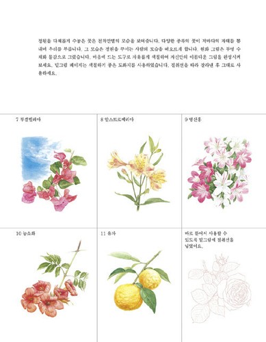 Garden Flower Illustration Coloring Book 정원 꽃 세밀화 컬러링 북 - Imagen 4 de 12