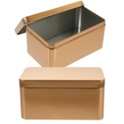  2 Pcs Tea Storage Box Rectangular Tin with Lid Tins Boxes Organizer
