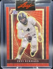 Marketplace image: 2024 Leaf Pro Set Zevi Eckhaus Gold Superfractor 1/1 Pre Production Proof Cougar