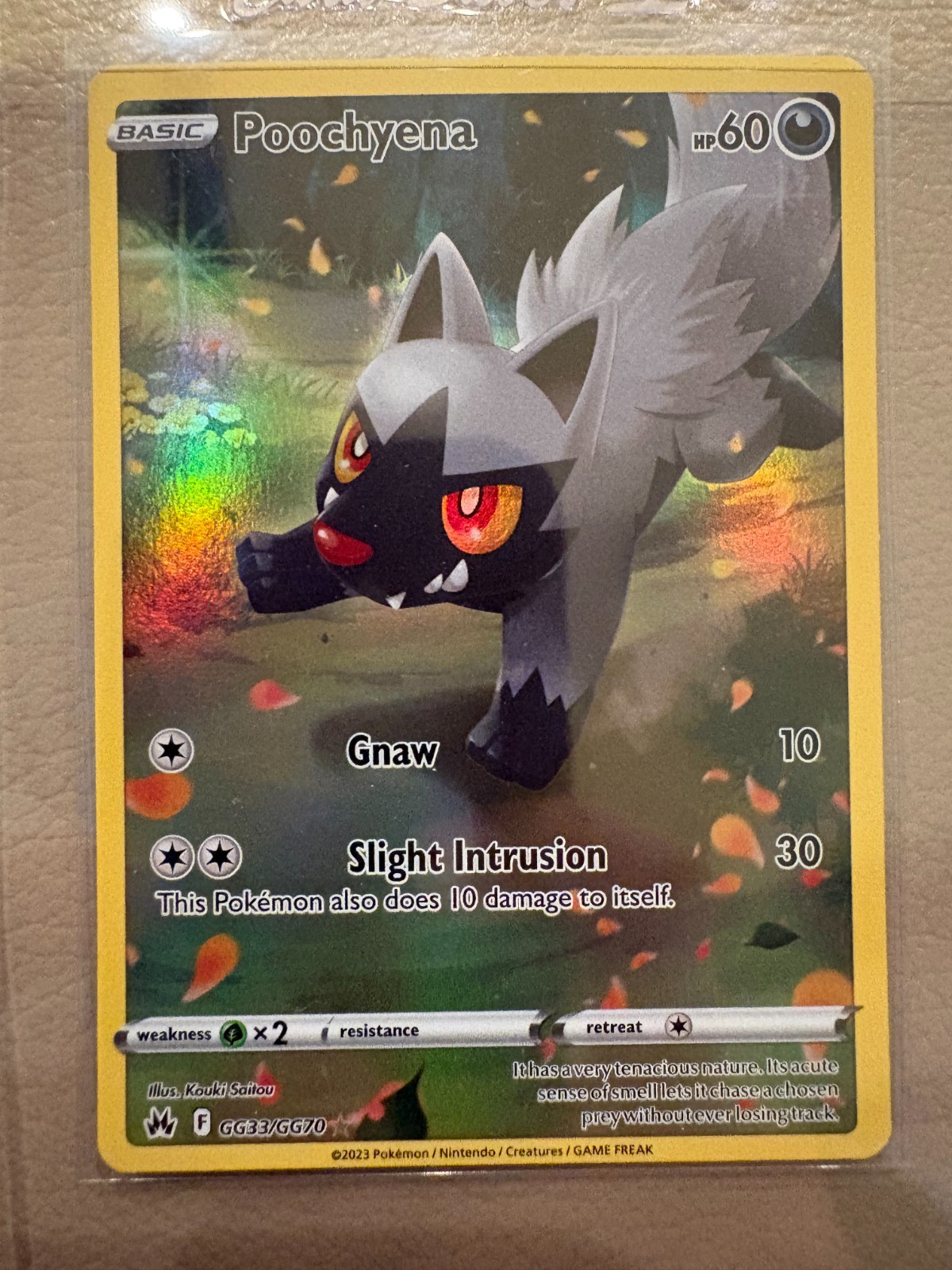 Pokémon TCG Poochyena GG33/GG70 Crown Zenith Galarian Gallery Holo
