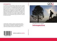 Carlos Alberto RamíRez Delgadillo | Introspectiva | Taschenbuch | Spanisch