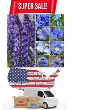 Wildflower Seeds Dazzling Blue Variety | 2 Ounce 30,000+ Seeds 10 Varieties A... 197.20 per gallon