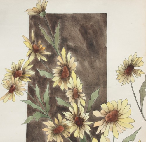 Sonnenblumen (Helianthus grosseratus) über einem braunen Feld, Aquarell, um 1900 - Bild 10 von 13