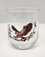 Vintage Libbey 90's Sunoco American Wildlife Spotted Owl Glass
