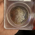 1902-O Morgan Silver Dollar CAC Grading MS 64 W/Plus Toning