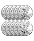 1 oz American Silver Eagle Coin (Random Year - Lot of 10)