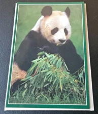 I THINK I NEED A HUG. GIANT PANDA GREETING CARD. SNAPSHOT CARDS MADE IN JAPAN